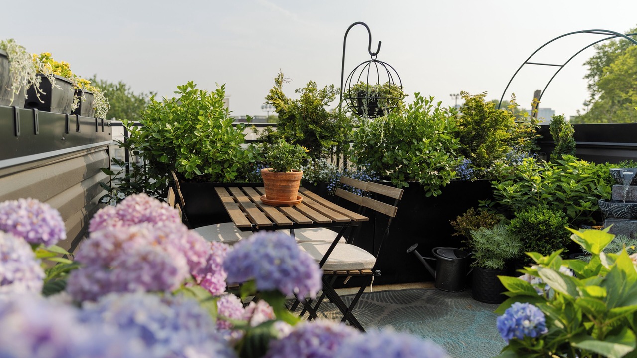 Photo of Outdoor in Fairmount