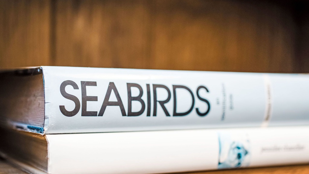 Photo of Livingroom in Lossiemouth