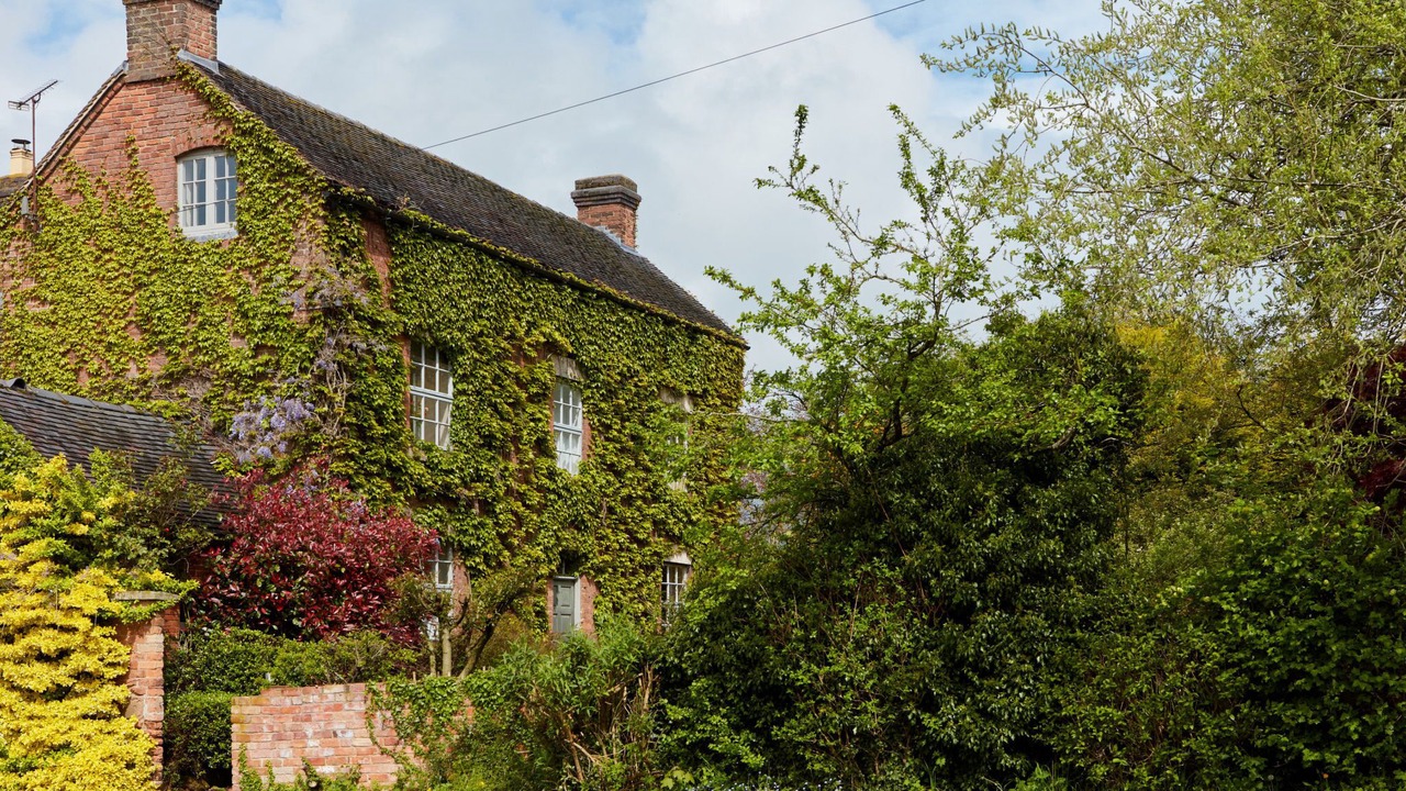 Photo of Others in Dalbury Lees