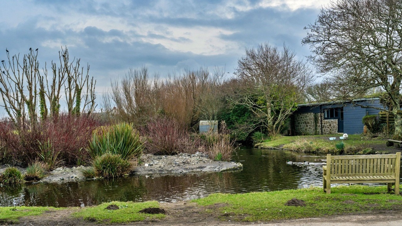 Photo of Others in Saint Martin