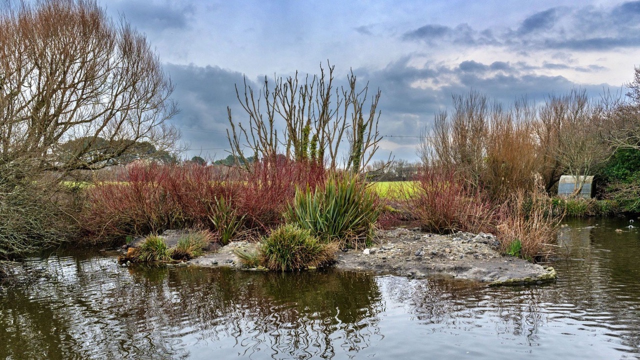 Photo of Others in Saint Martin