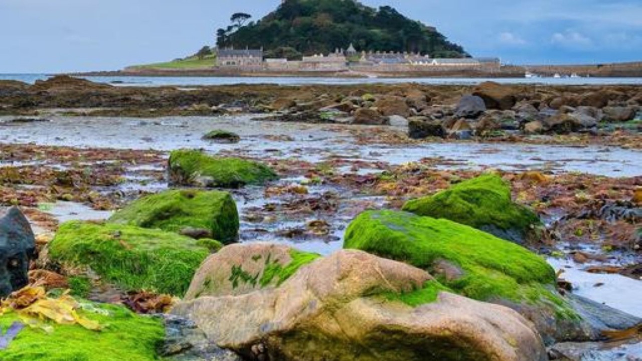 Photo of Others in Gweek