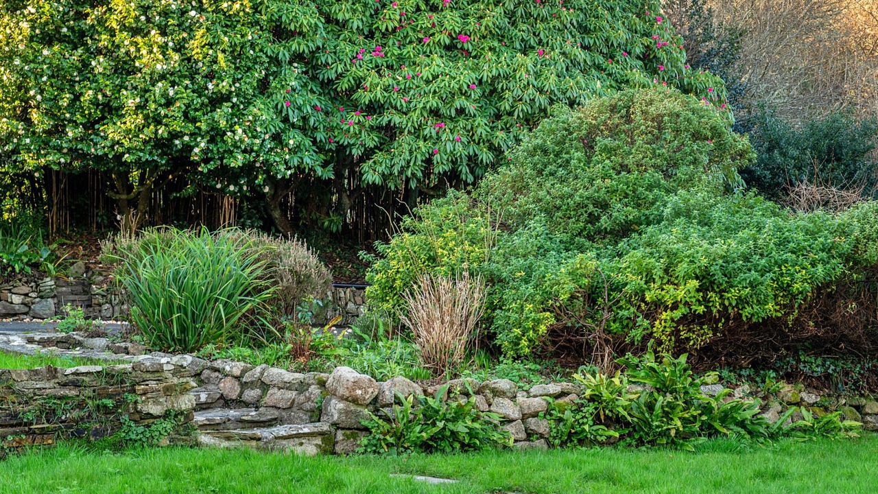 Photo of Others in Gweek