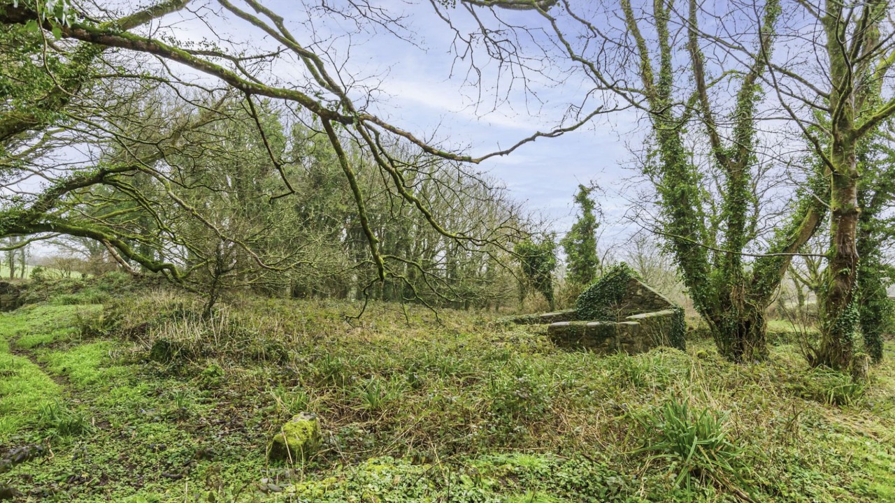 Photo of Outdoor in Gweek