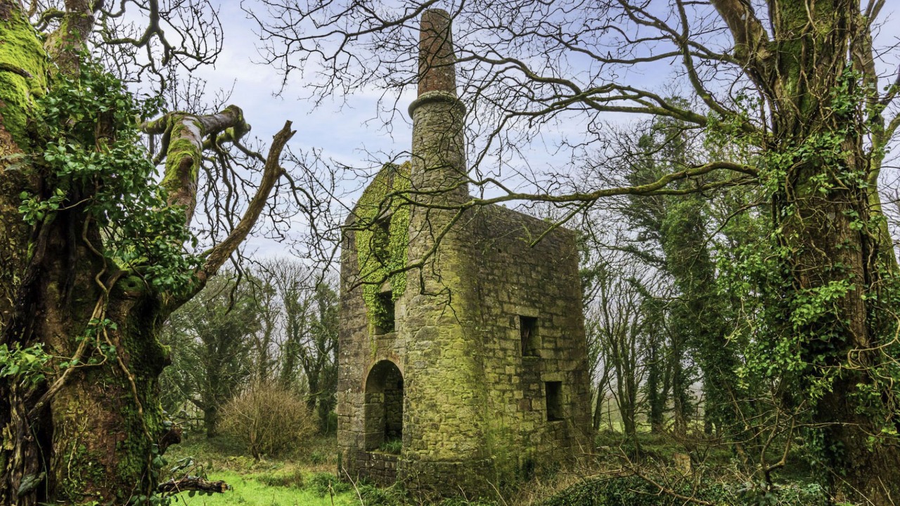 Photo of Outdoor in Gweek