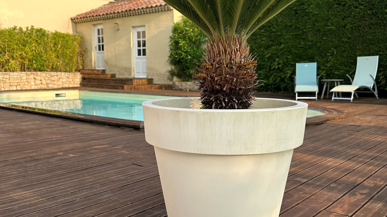 Photo of Outdoor in Monteleger