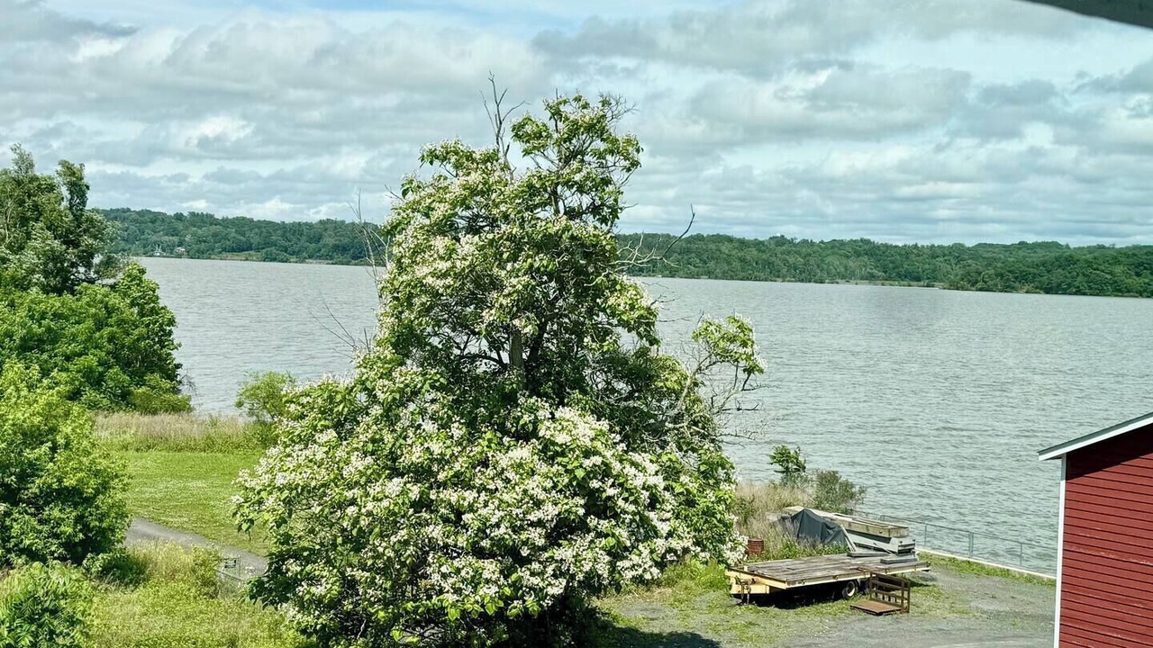 Photo of Outdoor in Glasco