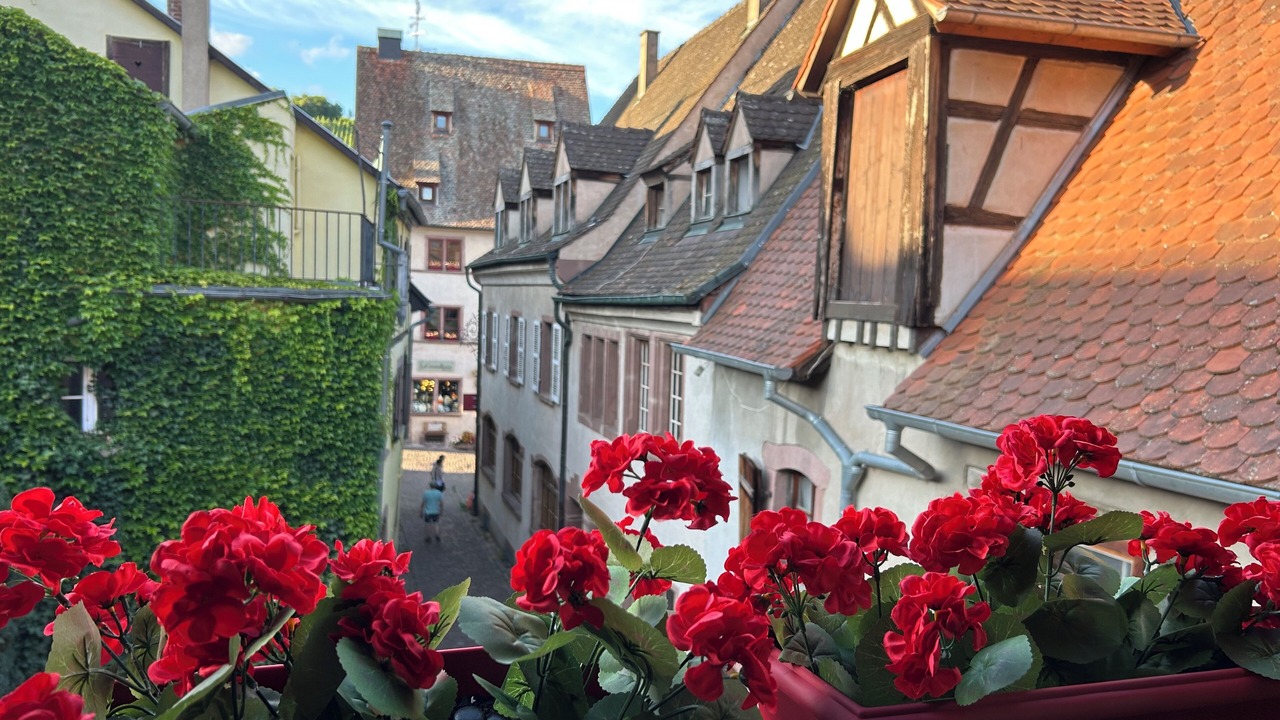 Photo of Outdoor in Riquewihr