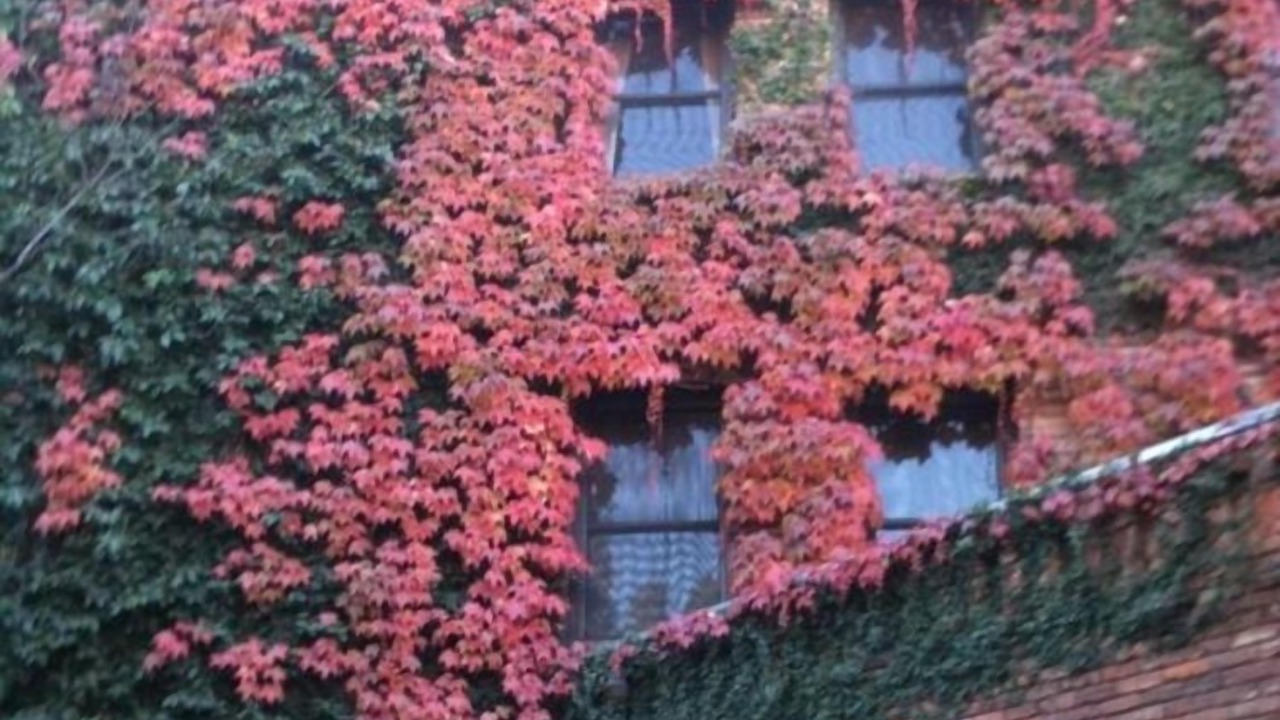 Photo of Outdoor in Placerville