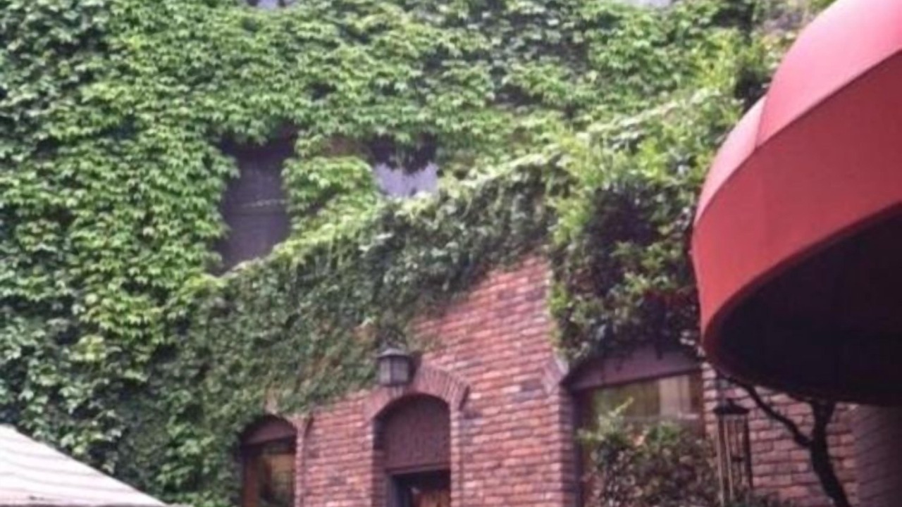 Photo of Outdoor in Placerville