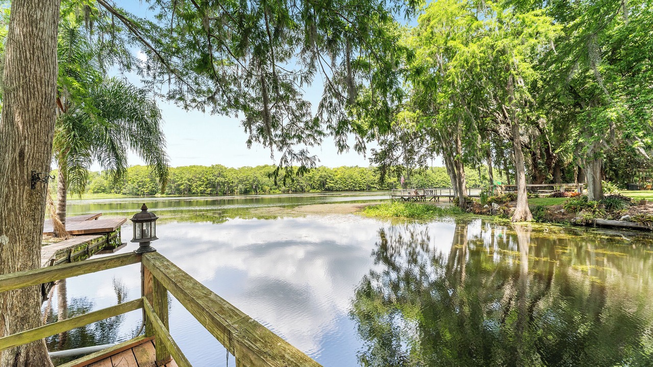 Photo of Others in Lake Panasoffkee