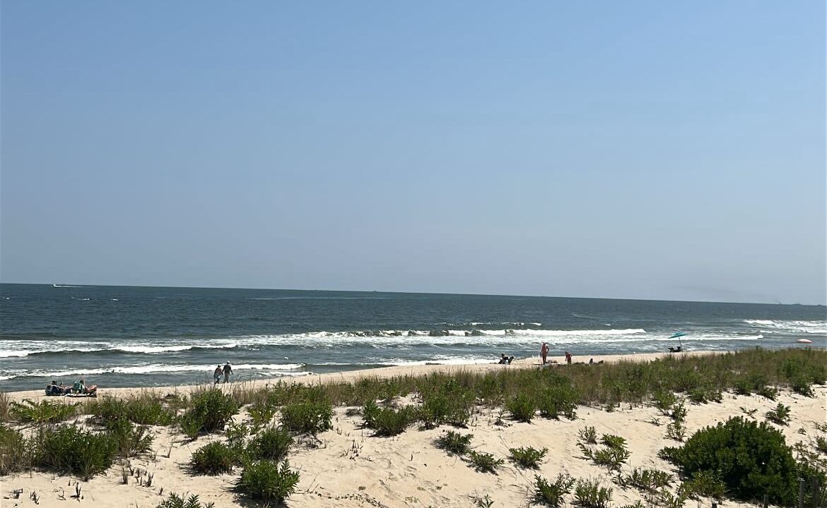 Photo of Others in Sea Bright