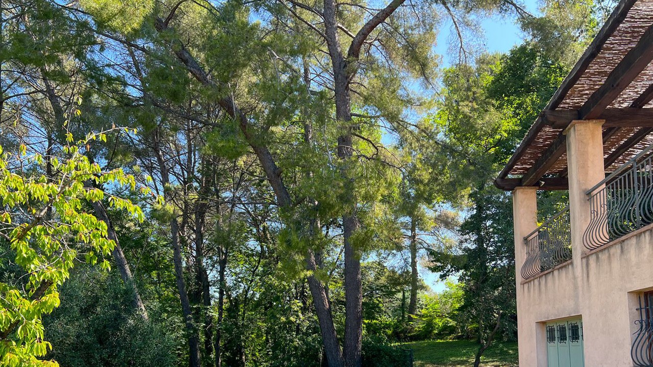 Photo of Outdoor in Le Rouret