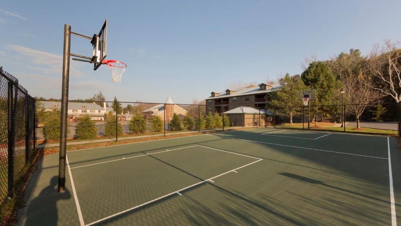 Photo of Others in South Lee