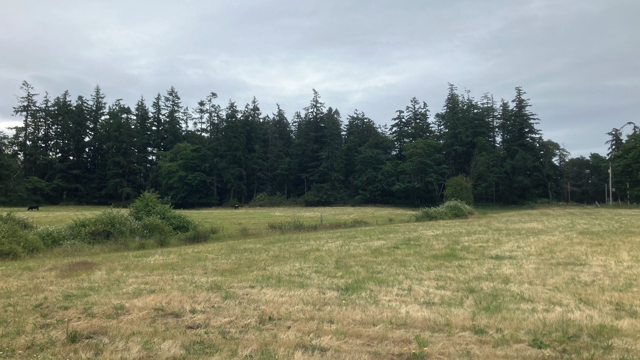 Photo of Others in Oak Harbor