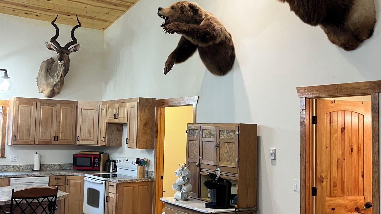 Photo of Others in Oak Harbor