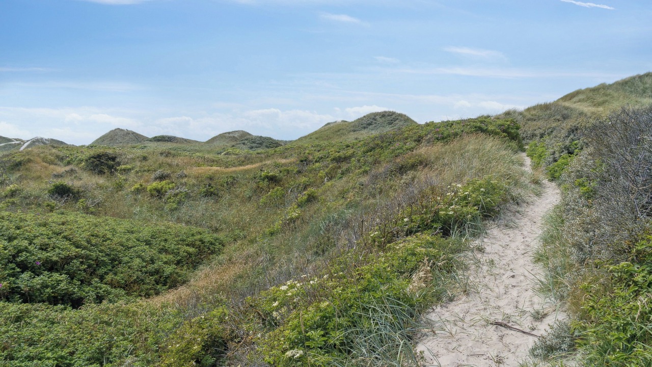 Photo of Others in Pandrup