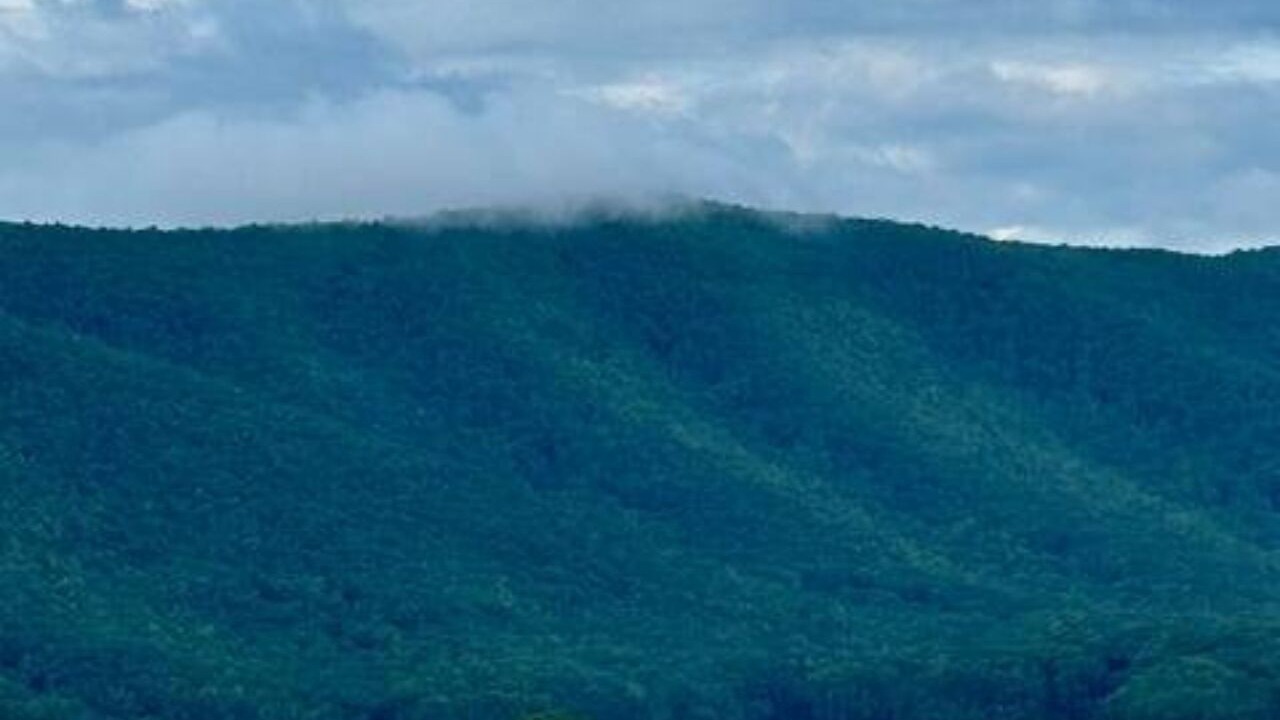 Photo of Others in Smith Mountain Lake