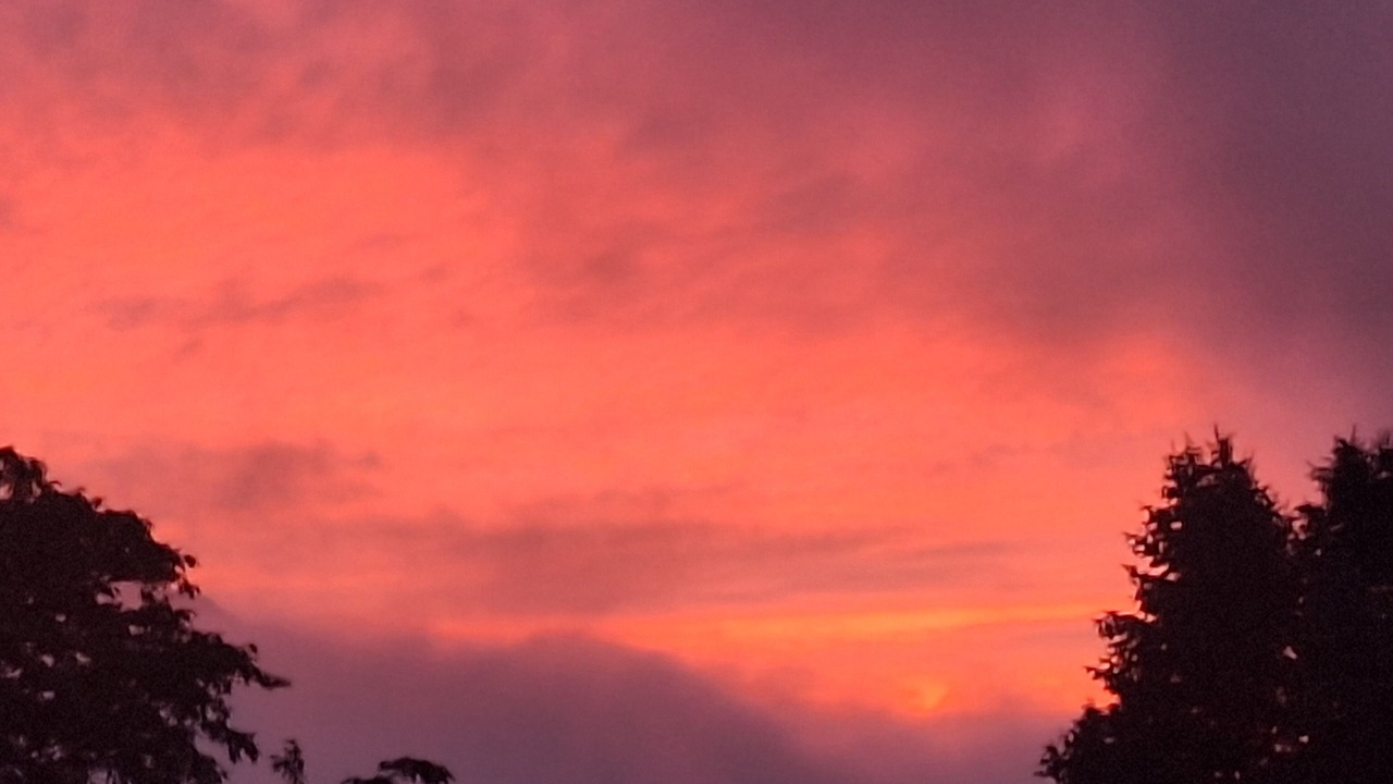 Photo of Others in Jersey Mills