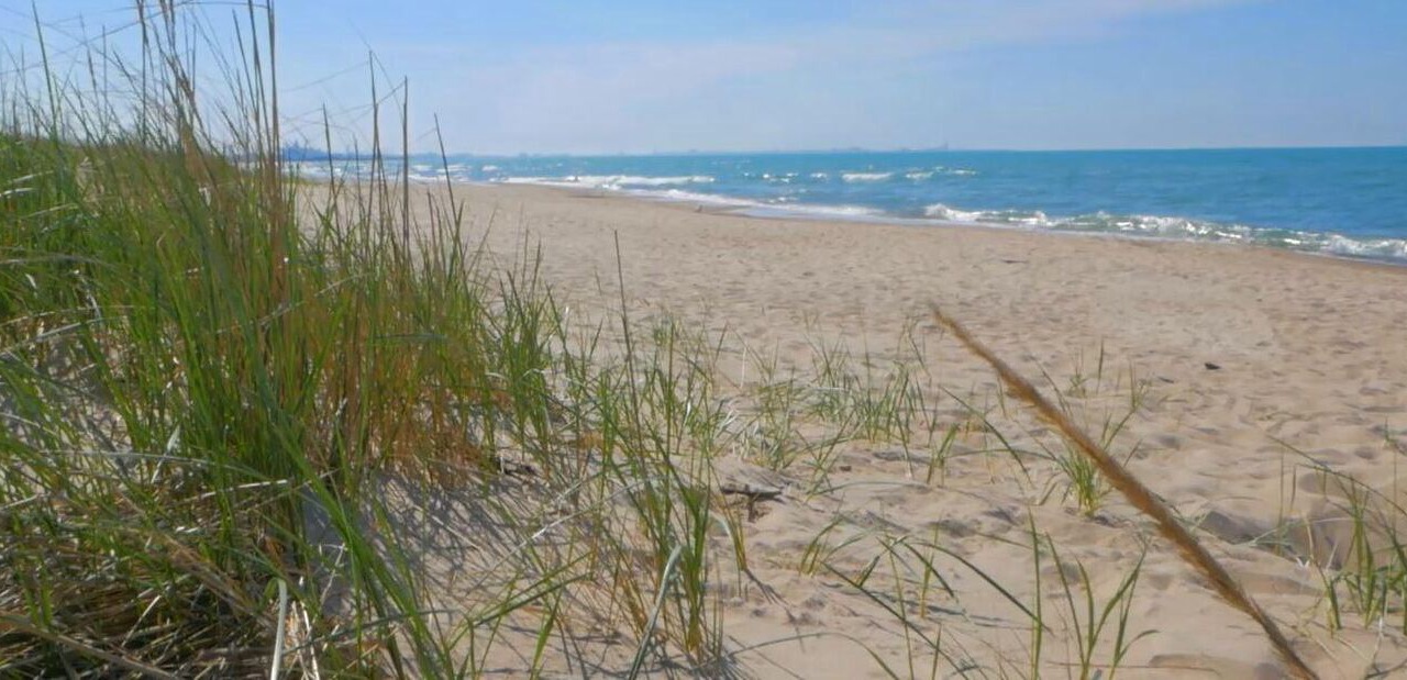 Photo of Others in Miller Beach