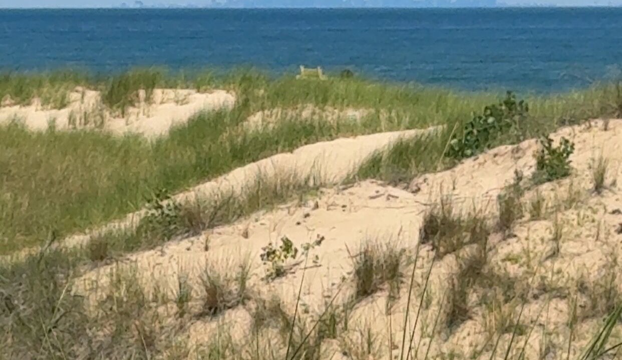 Photo of Others in Miller Beach