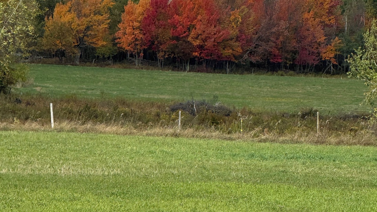 Photo of Others in Ellenburg Depot
