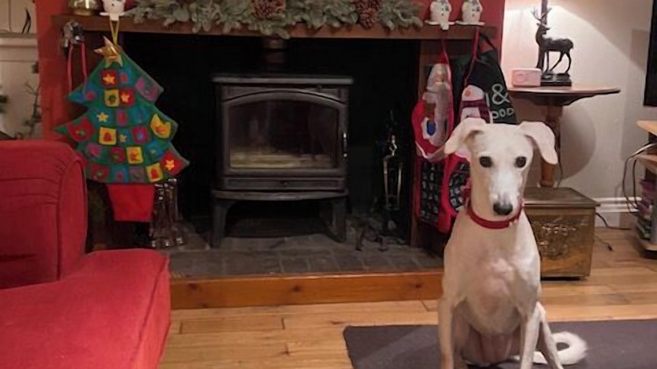 Photo of Others in Dunoon