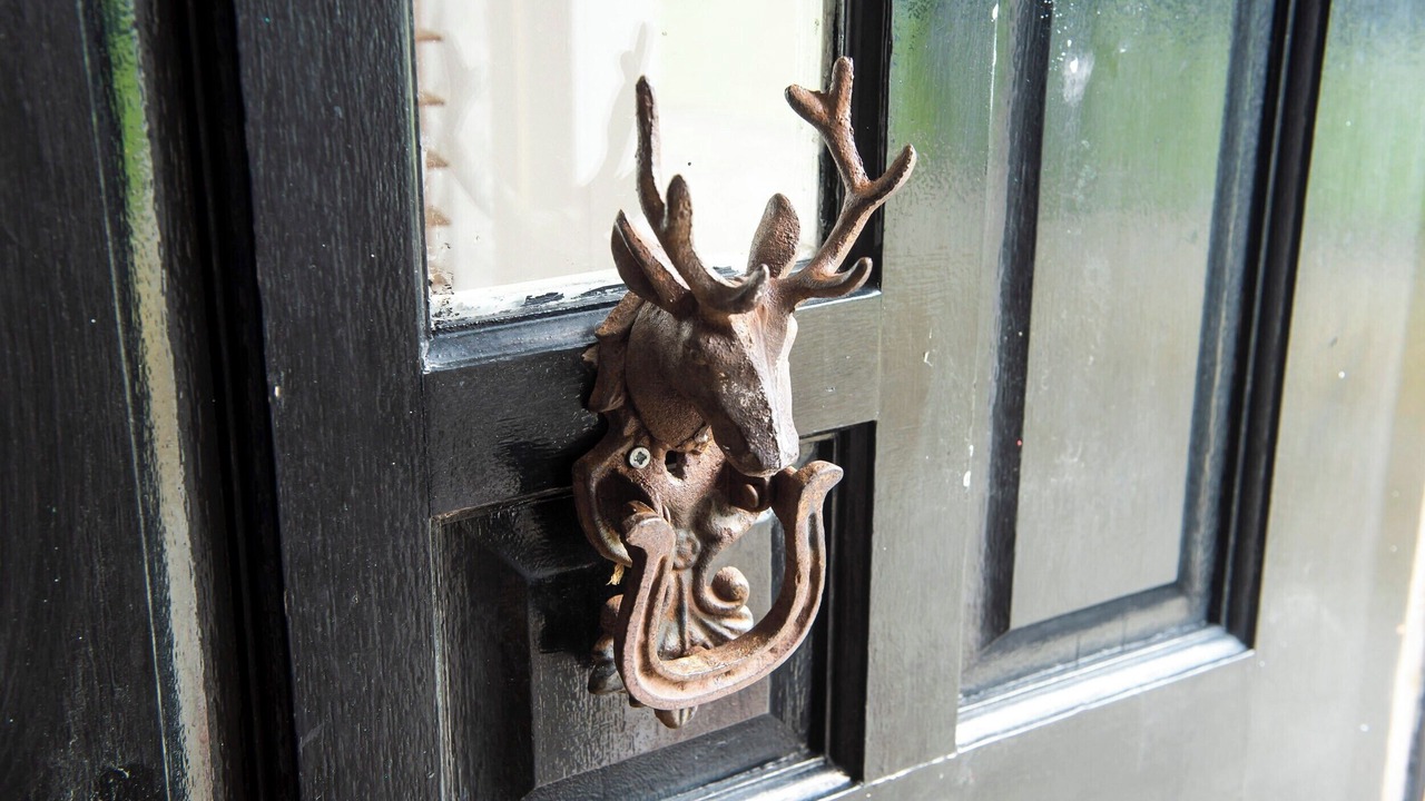 Photo of Others in Dunoon