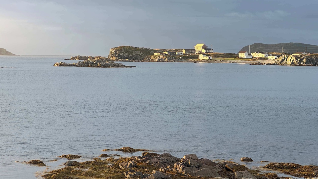 Photo of Others in Twillingate