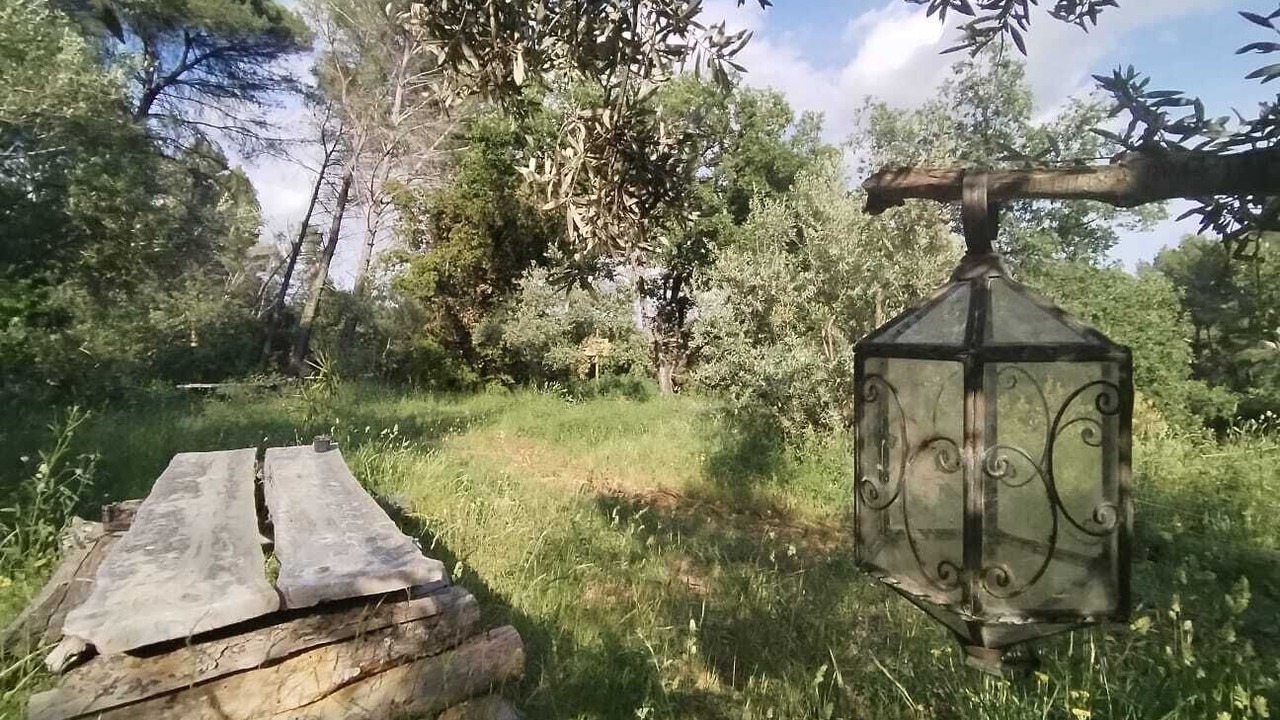 Photo of Outdoor in Salernes