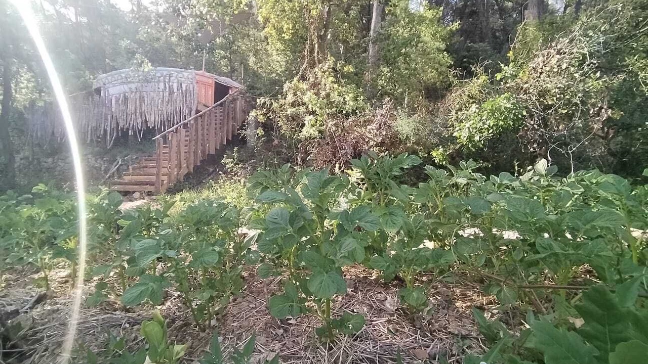 Photo of Outdoor in Salernes