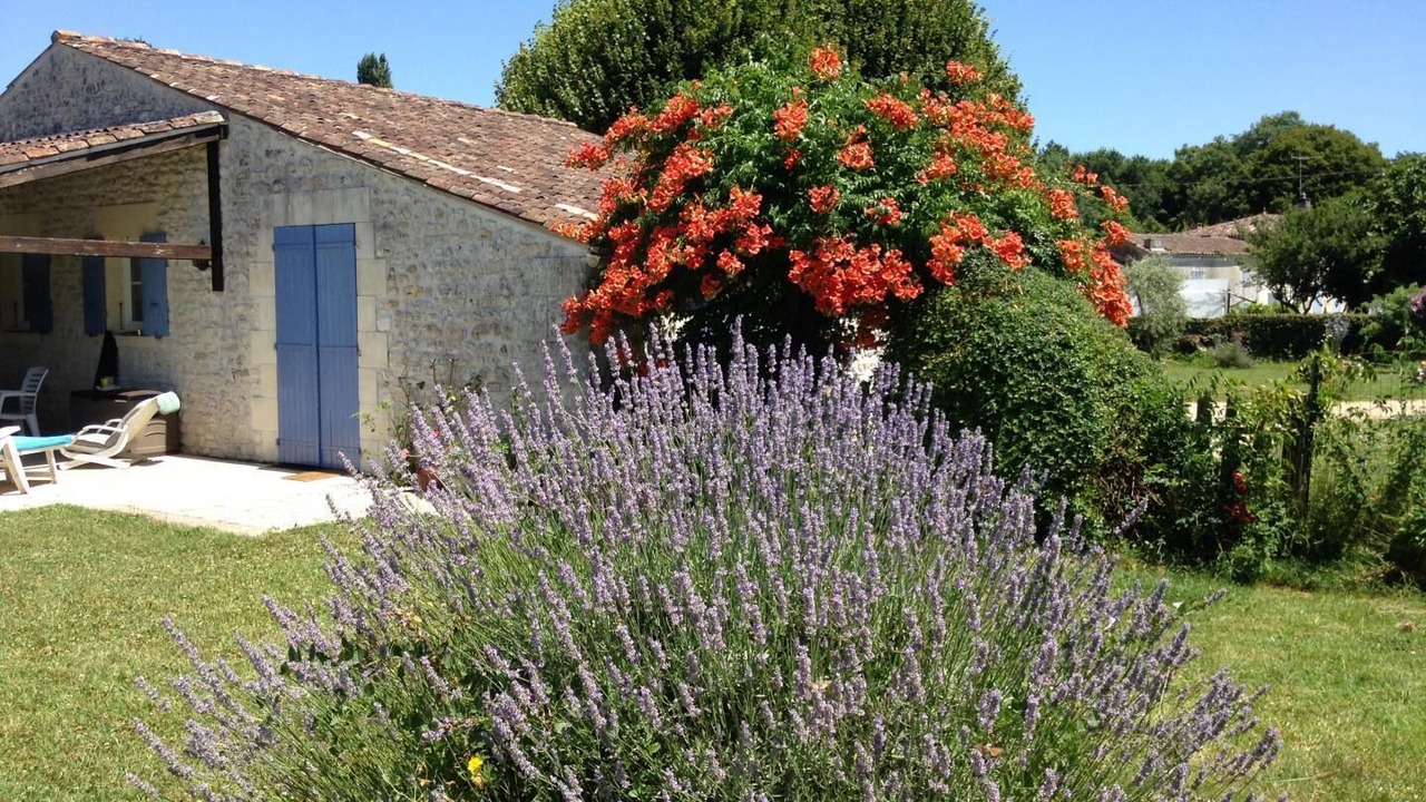 Photo of Outdoor in Gemozac
