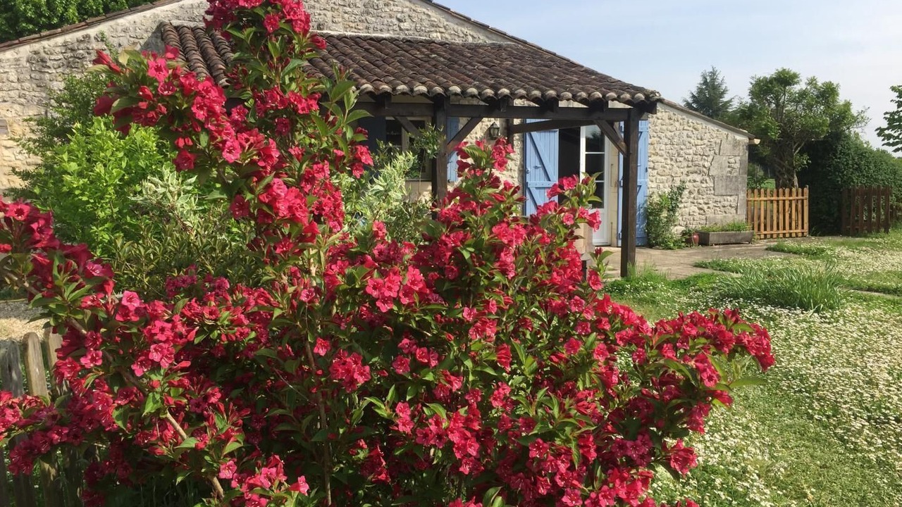 Photo of Outdoor in Gemozac