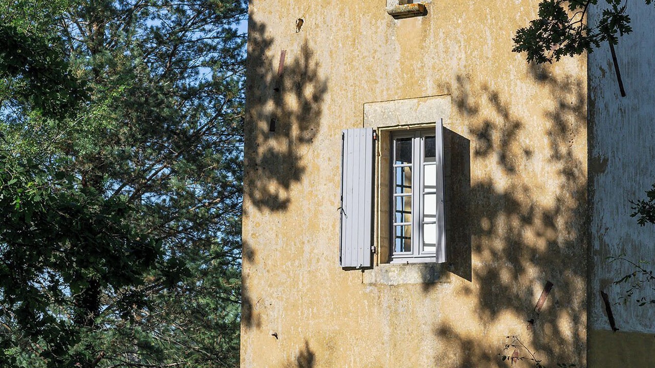 Photo of Outdoor in Saint-Germain-de-Belves