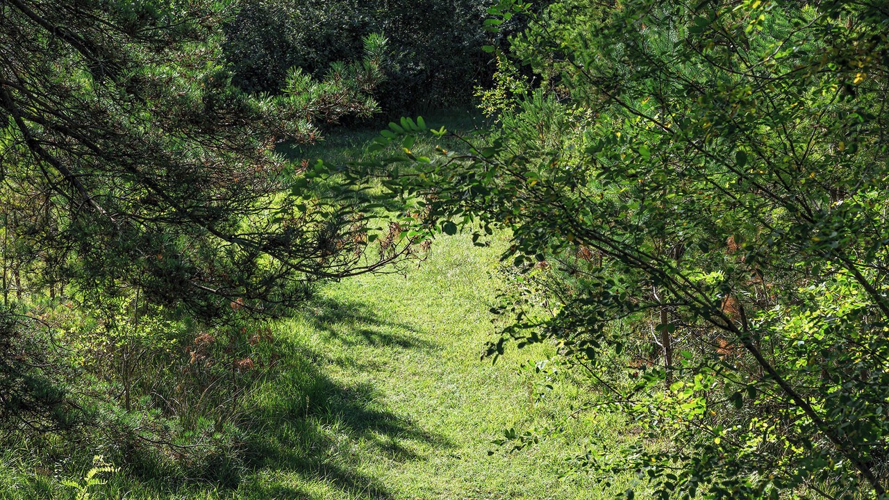 Photo of Others in Saint-Germain-de-Belves