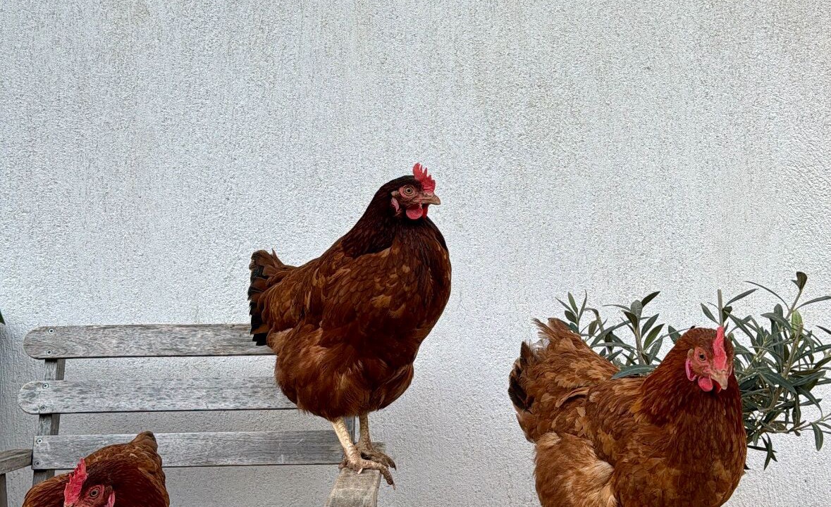 Photo of Others in La Valette-du-Var