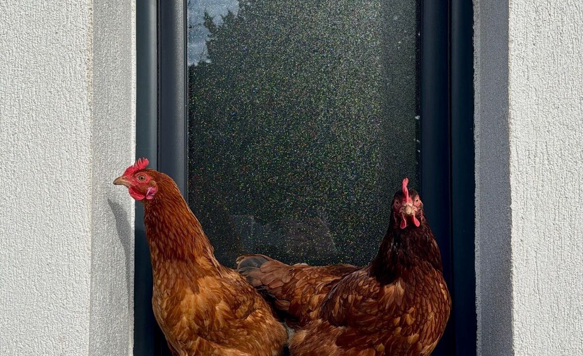 Photo of Outdoor in La Valette-du-Var