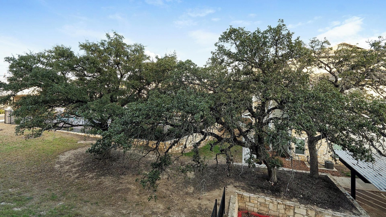 Photo of Others in San Antonio