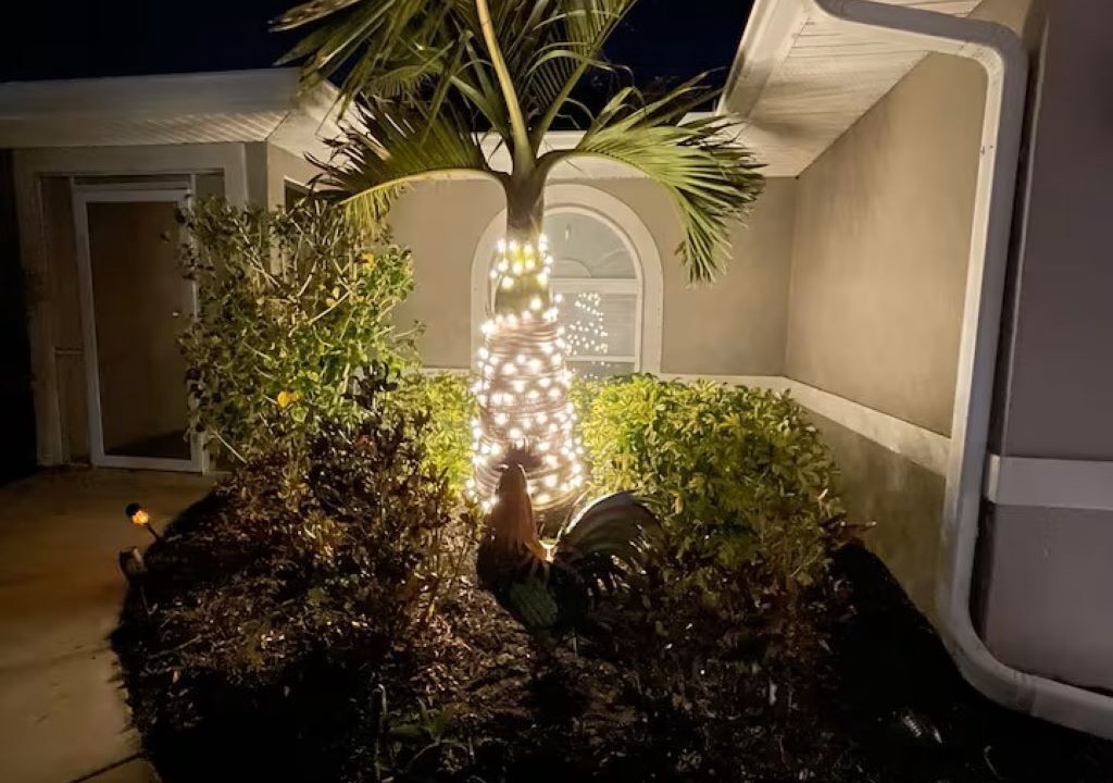 Photo of Outdoor in Port Charlotte