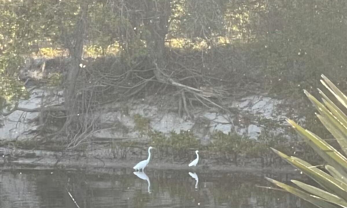 Photo of Others in Port Charlotte