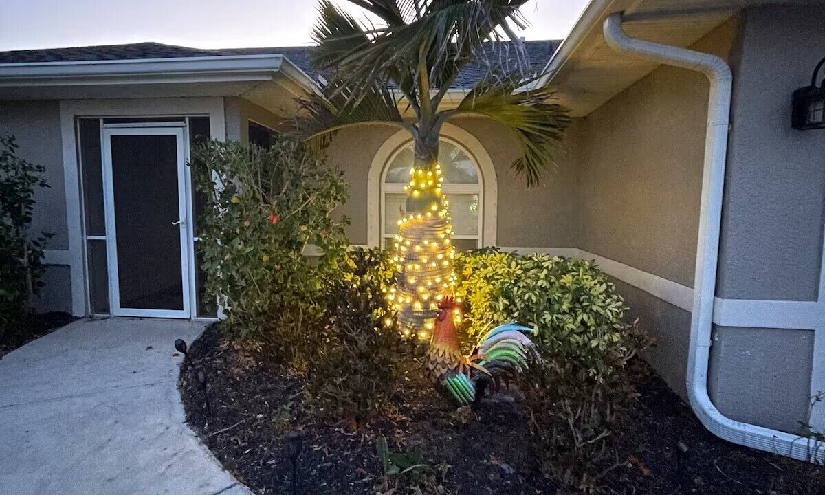 Photo of Outdoor in Port Charlotte