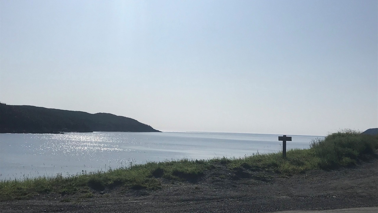 Photo of Others in Cape Broyle