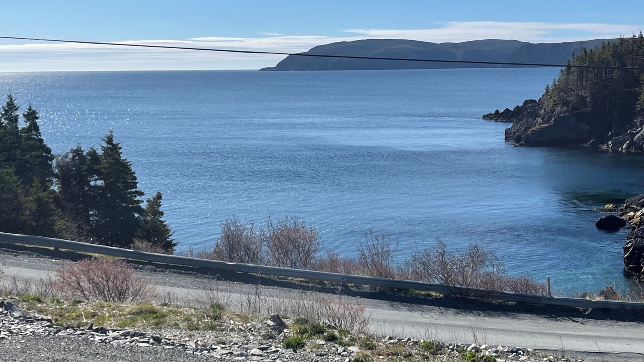 Photo of Others in Cape Broyle