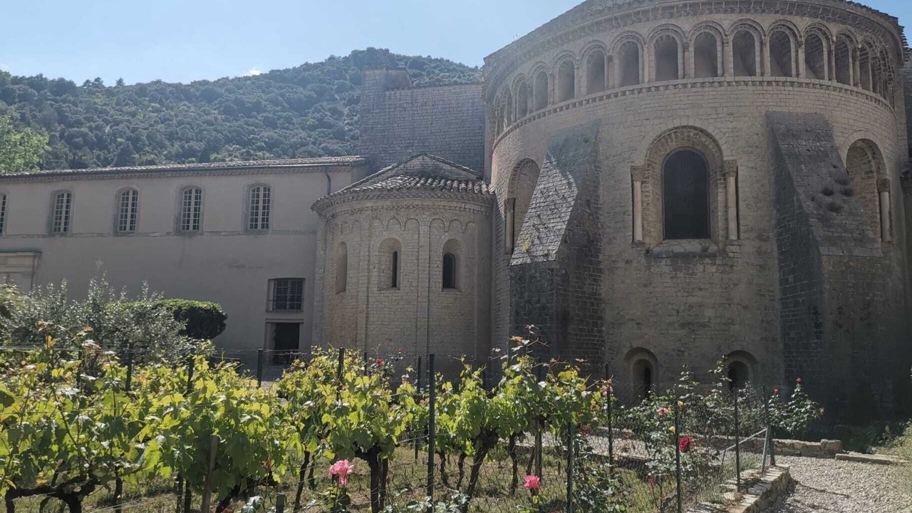 Photo of Outdoor in Le Bosc