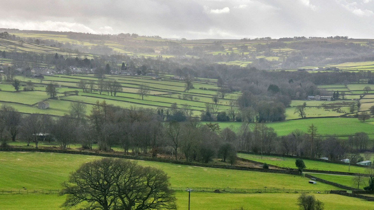 Photo of Others in Summerbridge