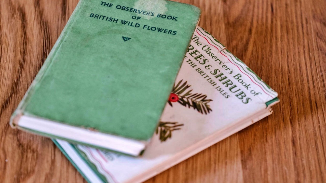 Photo of Others in Lewannick