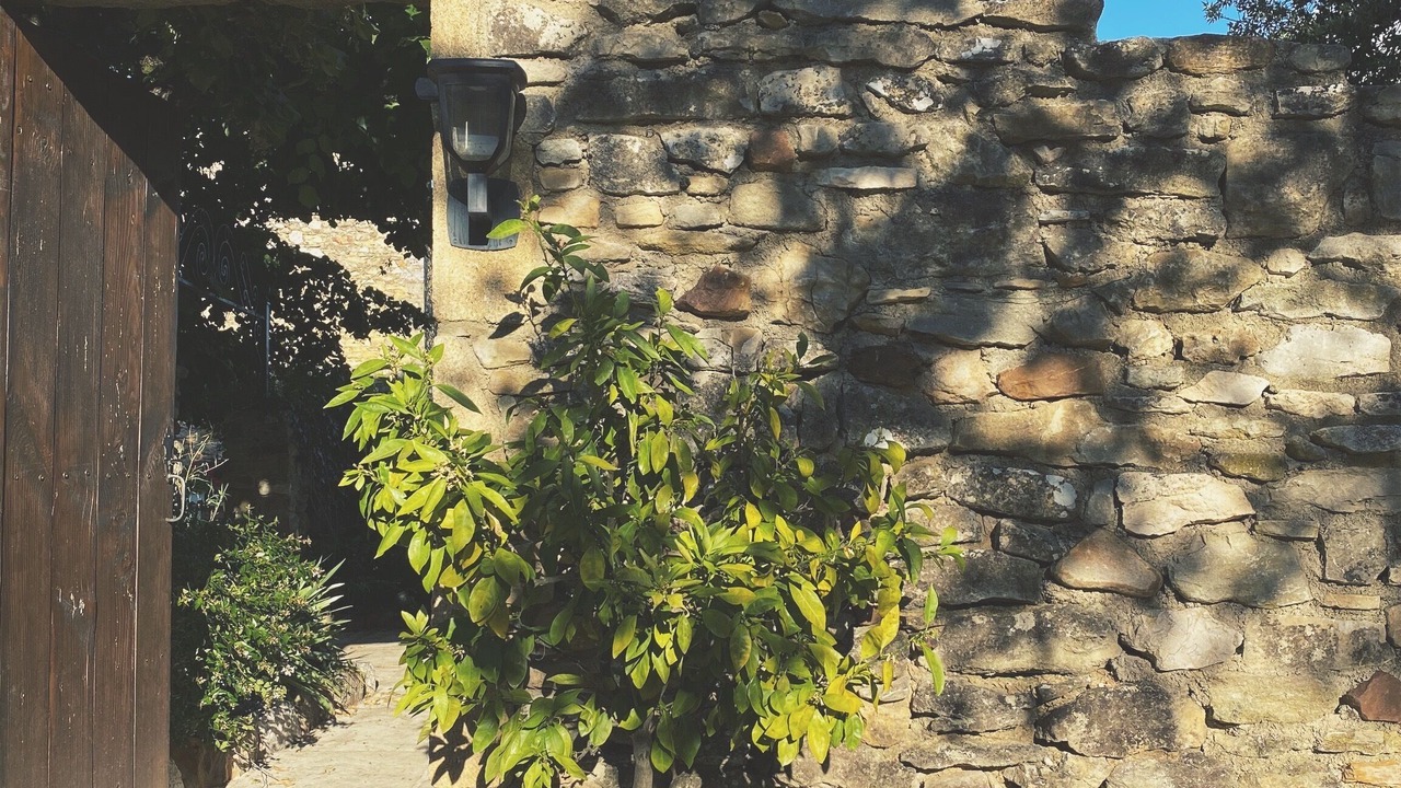 Photo of Outdoor in La Bruguiere