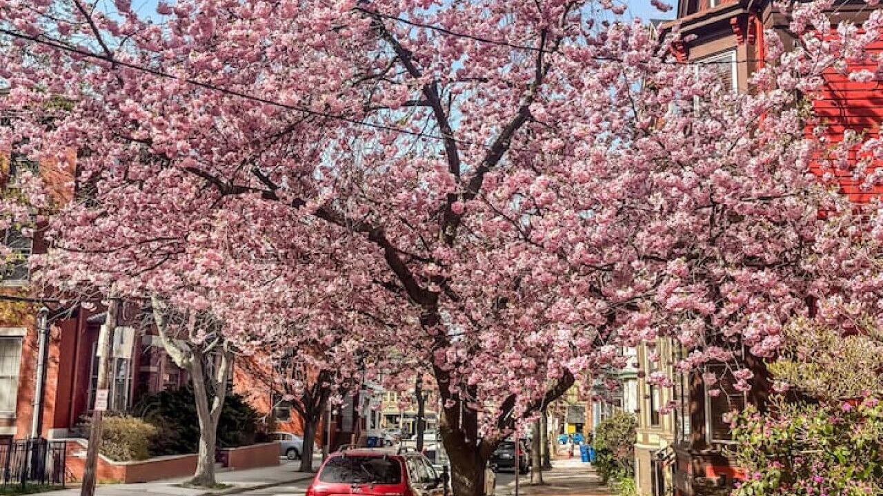 Photo of Others in Parkside