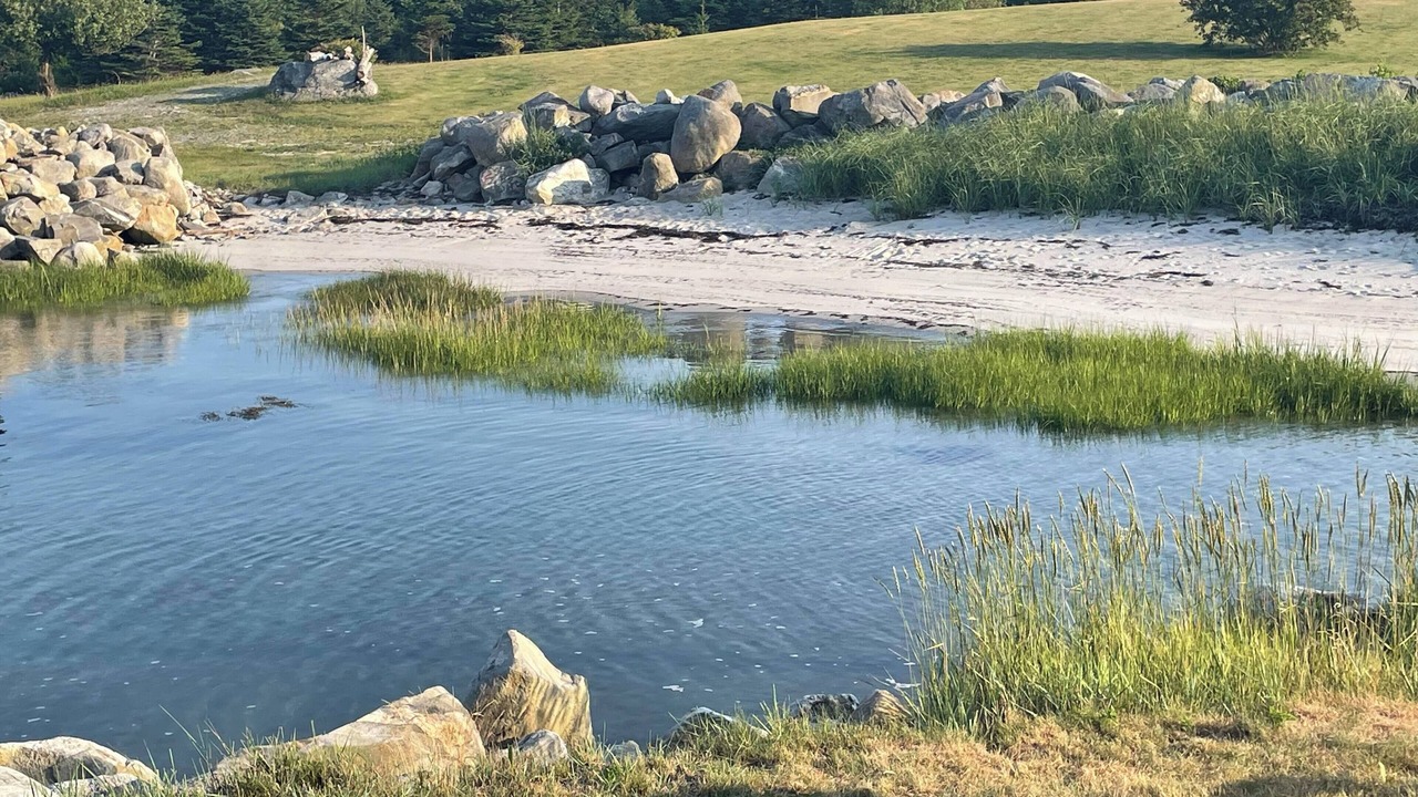 Photo of Others in Cape Sable Island