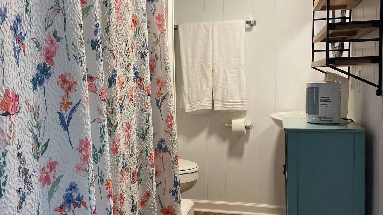 Photo of Bathroom in Metter